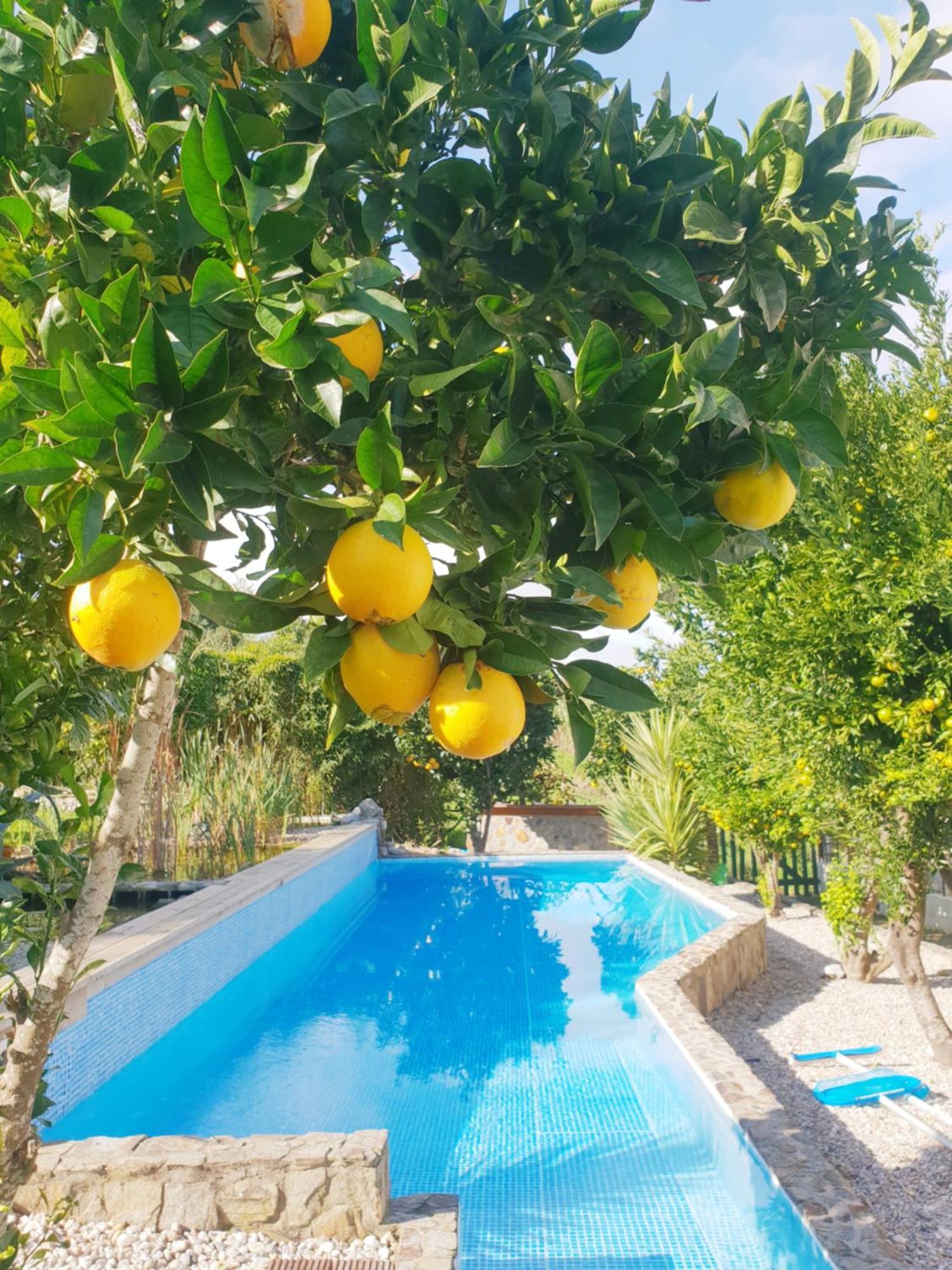 The Far End Surf House - Surf & Yoga Holidays Lourinhã Dış mekan fotoğraf